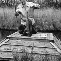 Coypu Trapping BW